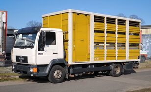 camion bétaillère MAN L 2000  12.224