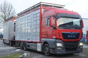 camion bétaillère MAN TGX 26.420 Euro 6/ AT 18/73 + remorque bétaillère