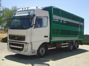 camion bétaillère VOLVO FH 480