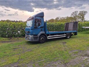camion plate-forme DAF LF 55-220