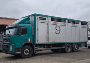 transport de chevaux Volvo FM 360 mit KABA Einstock 7,50 m Vollalu